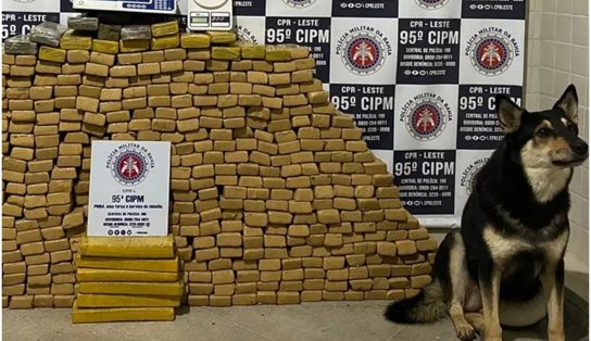 Polícia acha "QG" do tráfico com 500 kg de maconha na Região Metropolitana de Salvador  