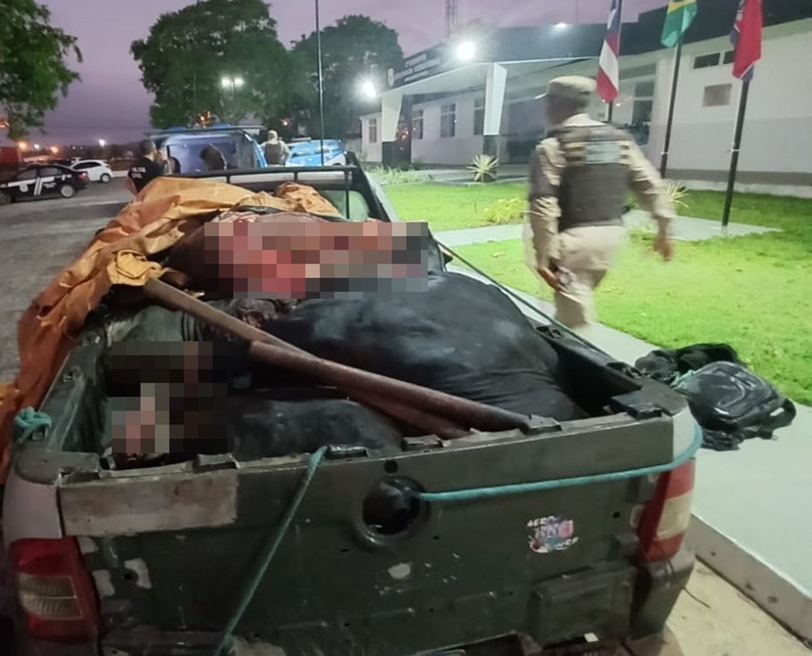 Só o filé: dupla é presa em flagrante enquanto roubava gado para venda de carnes