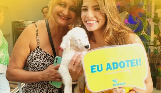 Feira de adoção de cães e gatos acontece no próximo fim de semana, na Pituba; confira