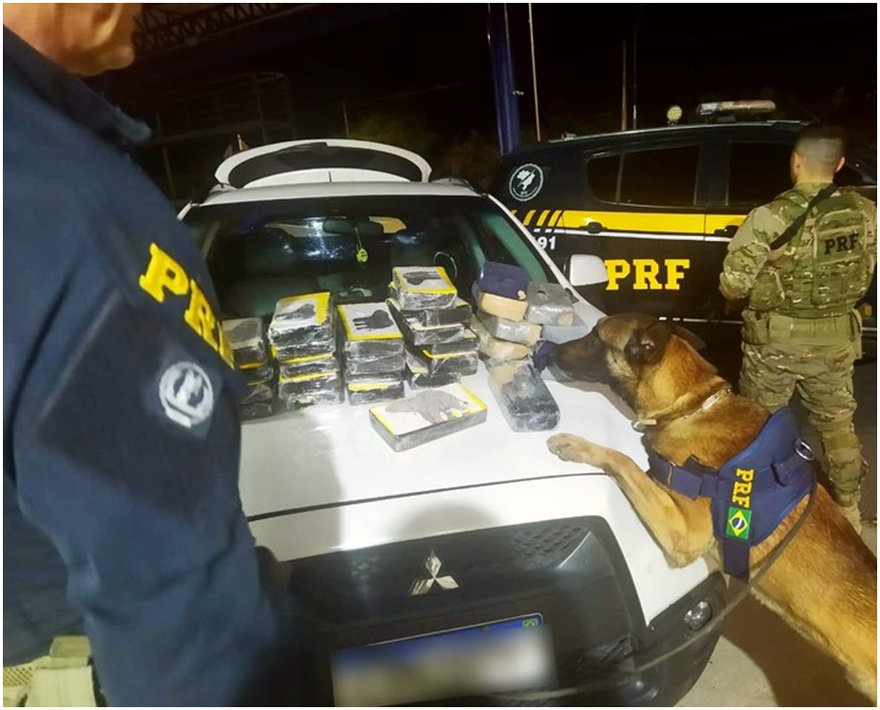 Com auxílio de cão farejador, PRF apreende 30,4 kg de cocaína escondidas em automóvel no interior da Bahia