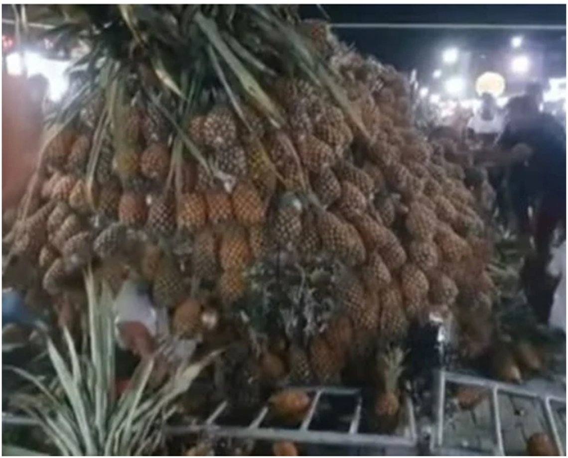 Sai debaixo! Escultura de abacaxi gigante desaba sobre público durante festa; veja vídeo