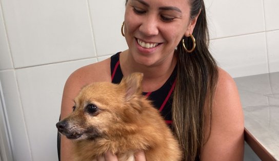 Outubro Rosa Pet: projeto da Ufba oferece tratameto acessível contra o câncer de mama em cadelas e gatas