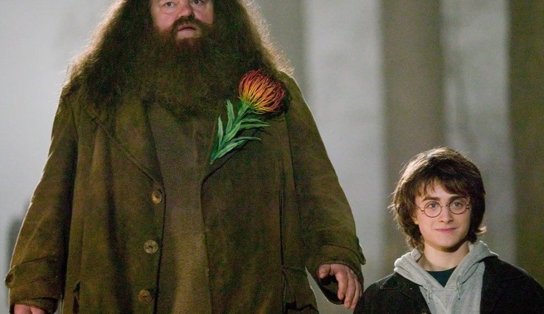 Robbie Coltrane, ator que fez Hagrid em Harry Potter, morre aos 72 anos