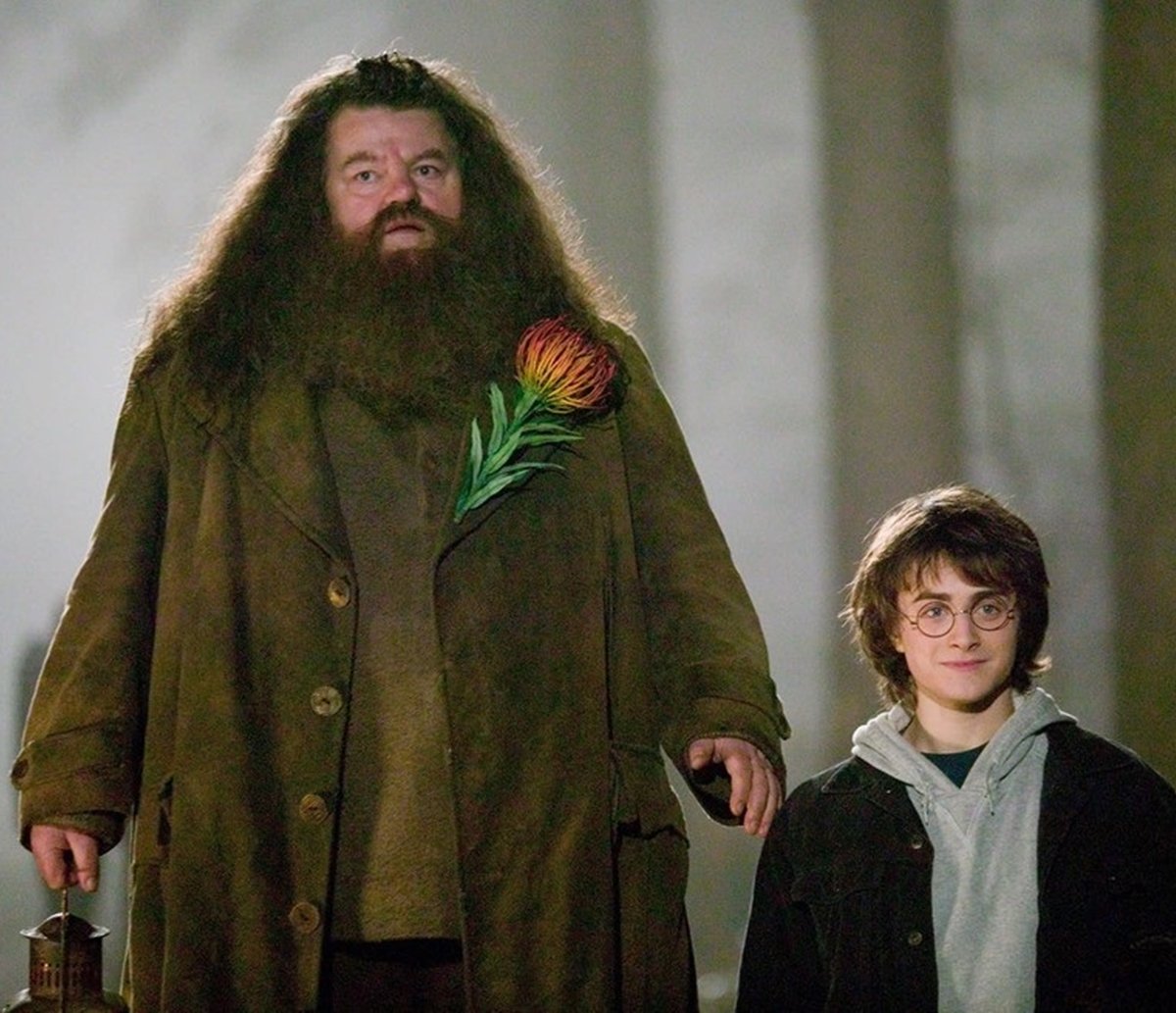 Robbie Coltrane, ator que fez Hagrid em Harry Potter, morre aos 72 anos