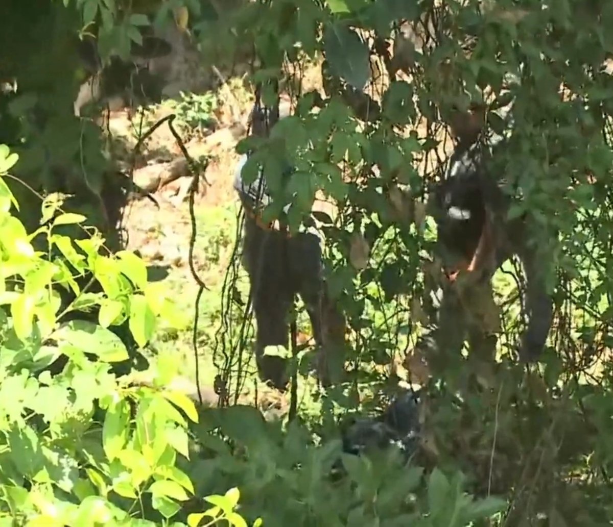 Ossada humana é encontrada na Avenida Luís Eduardo, em Salvador; crime pode ter ocorrido há mais de cinco meses 