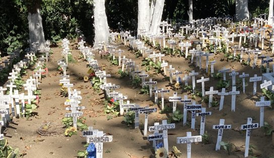  Com direito a "funerAU", cemitério de animais em Salvador tem "rabecão" e 45 mil corpos enterrados