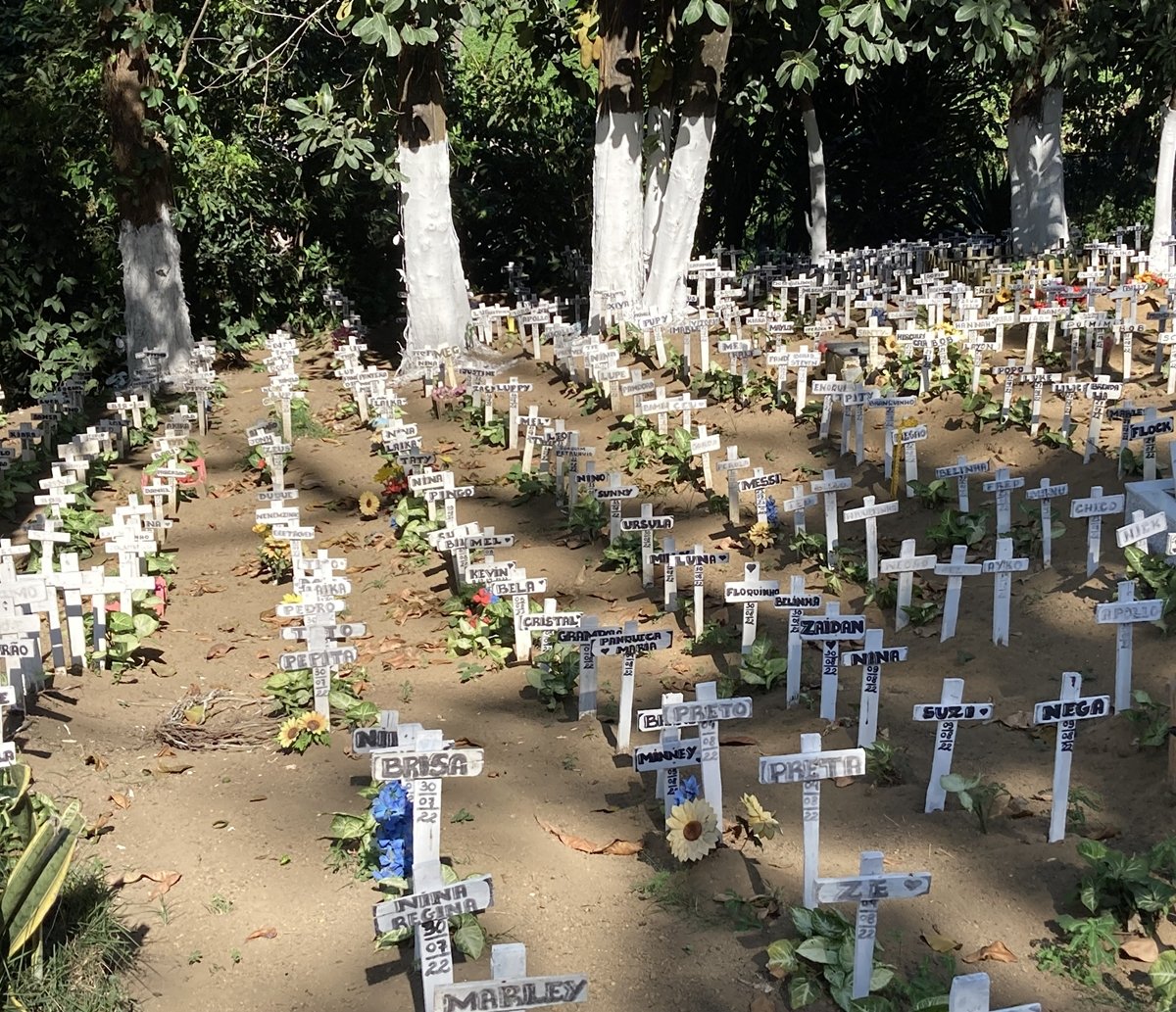  Com direito a "funerAU", cemitério de animais em Salvador tem "rabecão" e 45 mil corpos enterrados