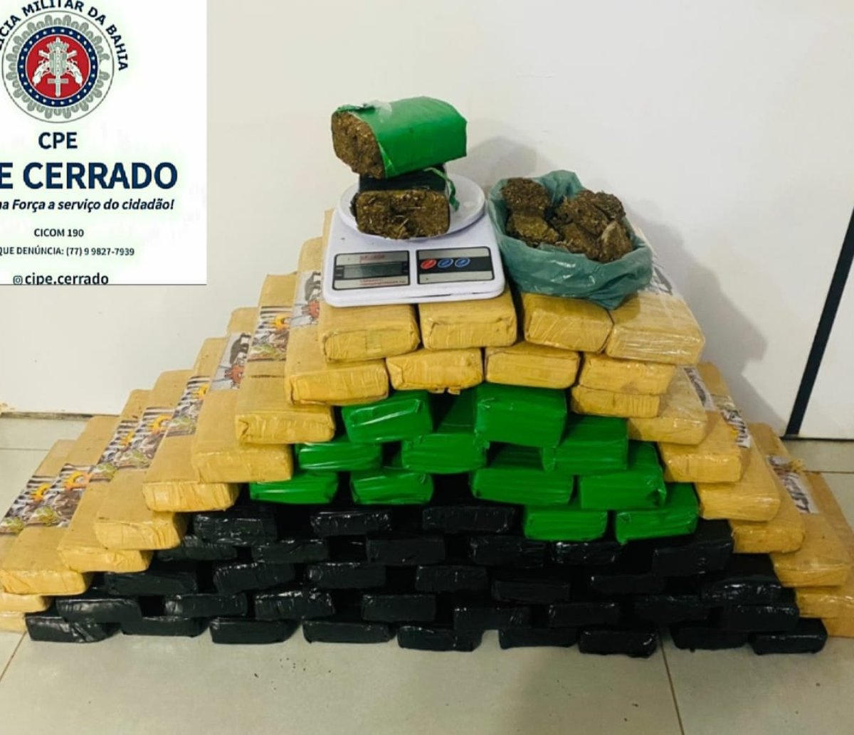 PM apreende 54 kg de maconha no interior Bahia, suspeito recebeu dinheiro para armazenar as drogas