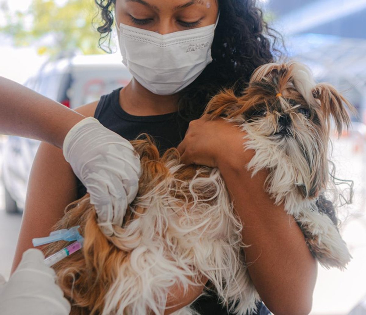 Parque da Cidade e Salvador Norte Shopping recebem Outubro Rosa Pet neste sábado com castramóvel