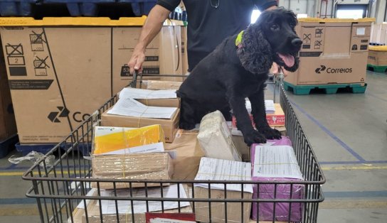 Via Correios: drogas diversas são encontradas em centro de distribuição com brinquedos e outros produtos