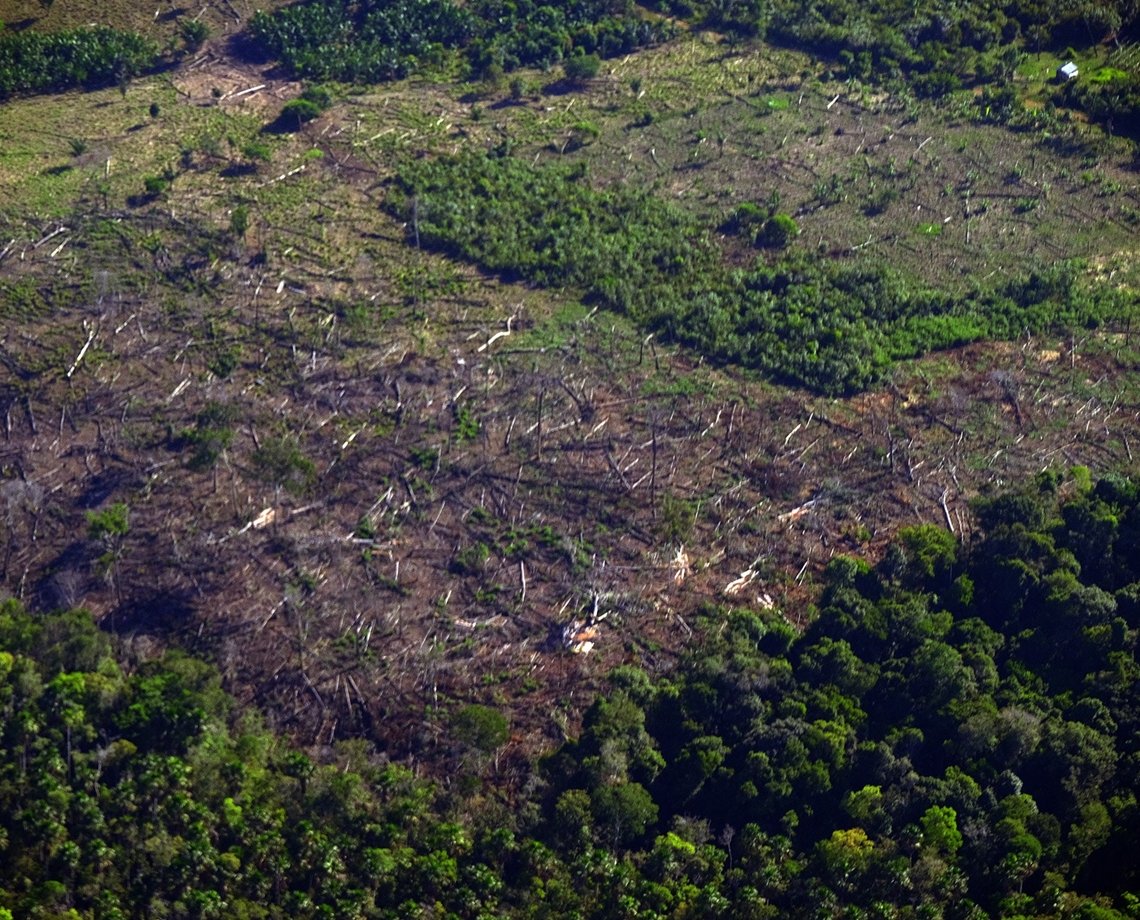 Fundo Amazônia deve ser reativado nos próximos 60 dias, define STF