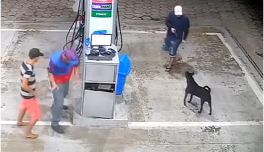 "Patas ao alto": cachorro é ameaçado com arma e frentista é esfaqueado durante assalto; veja vídeo