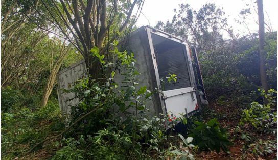 Caminhão com 6 toneladas de carne cai em área de vegetação no Acesso Norte, em Salvador