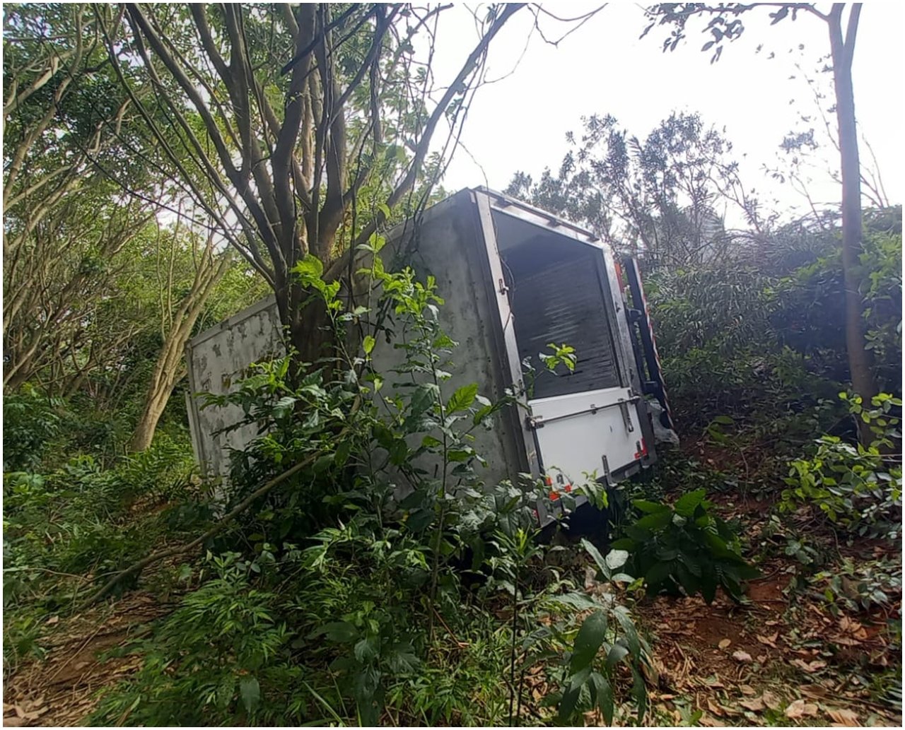 Caminhão com 6 toneladas de carne cai em área de vegetação no Acesso Norte, em Salvador