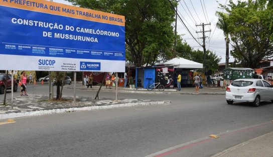 Mussurunga terá "camelódromo"; veja como será a estrutura  