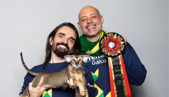 Gato baiano fica entre os quatro melhores em exposição mundial, na Bélgica