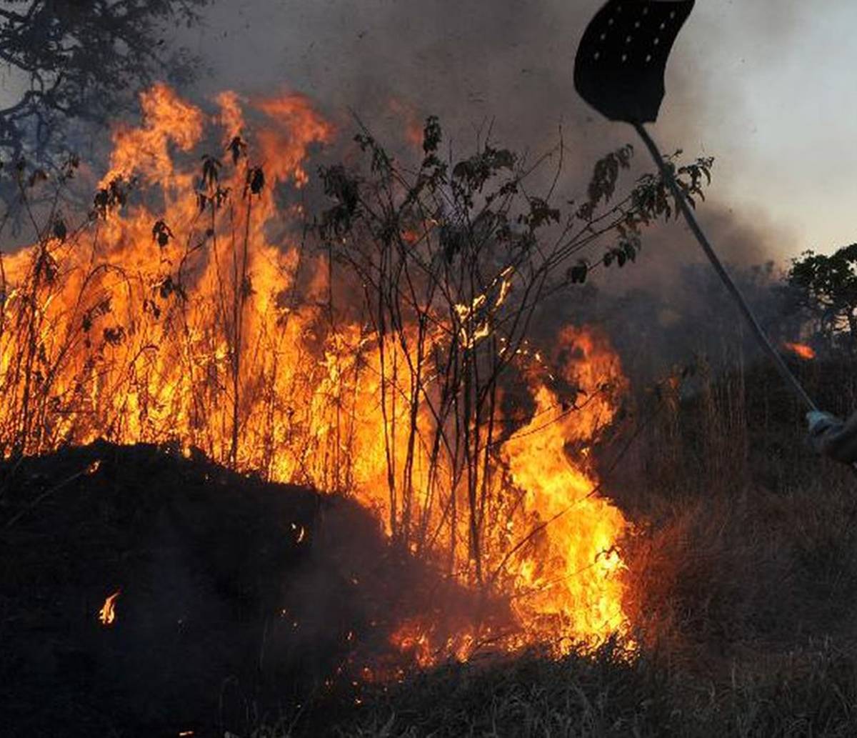 Amazônia concentra 90% da área com focos de incêndio no 1º bimestre