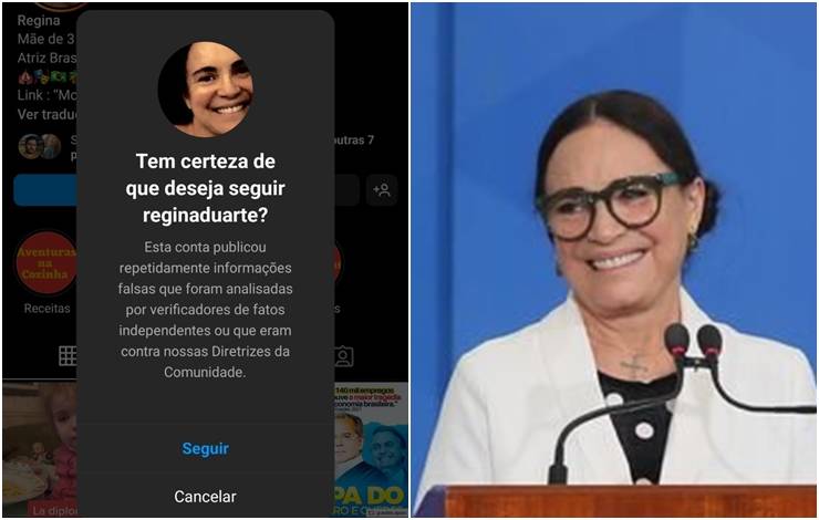 Instagram faz alerta a quem tenta seguir Regina Duarte: "tem certeza?"