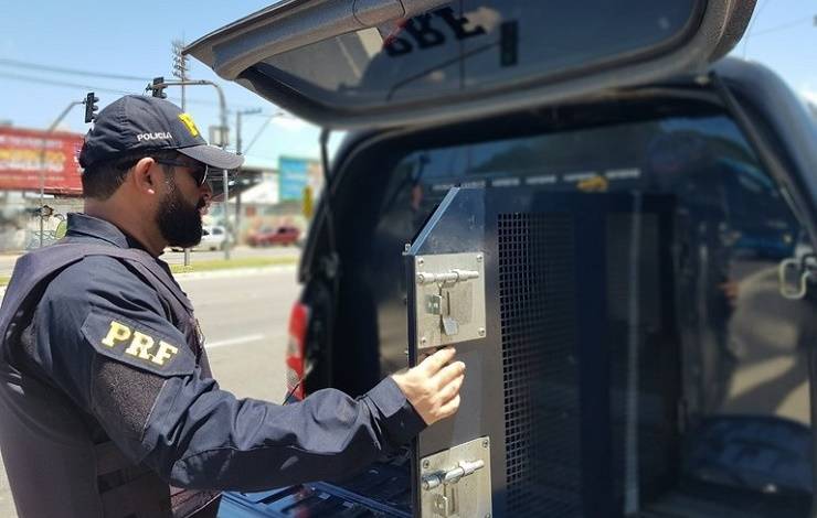 Homem procurado por estupro de vulnerável em Lauro de Freitas é preso na BR-110