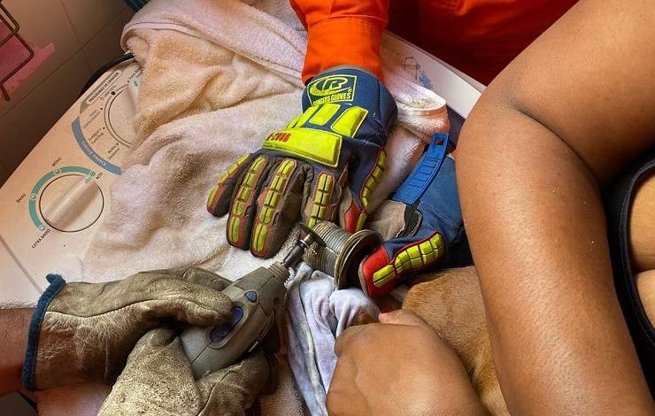 Durante banho, cadela fica com pata presa em ralo e é resgatada por bombeiros; assista