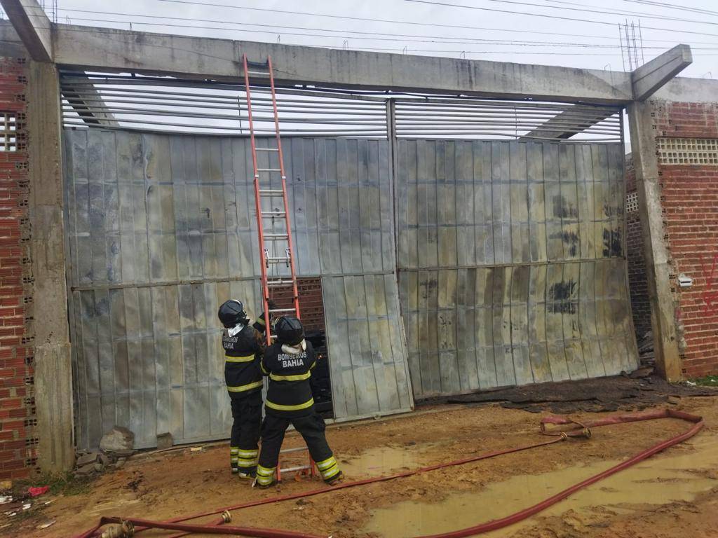 Gato preso em incêndio é resgatado em Juazeiro