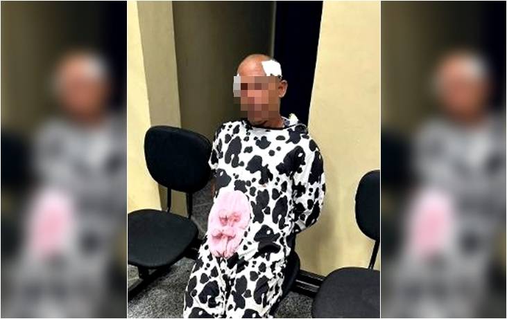 Fantasiado de vaca, homem se envolve em confusão e acaba apanhando de populares