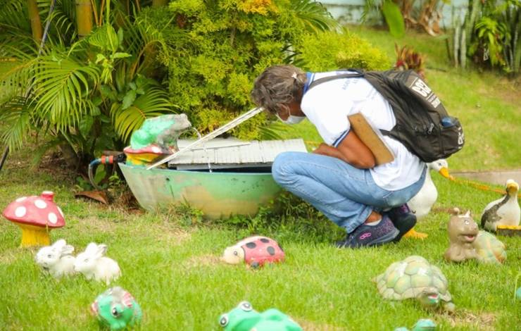 Escolas públicas de Salvador recebem ação contra mosquito da dengue