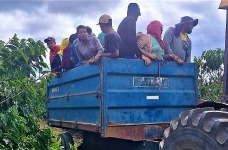 Indenizações por danos morais devem ser pagas para 25 trabalhadores resgatados de cafezal na Bahia