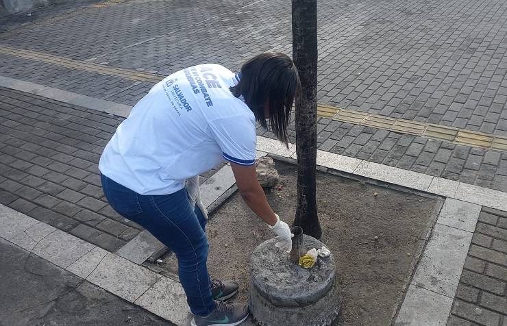 Centro de Controle de Zoonoses segue com ações de prevenção ao Aedes em Salvador