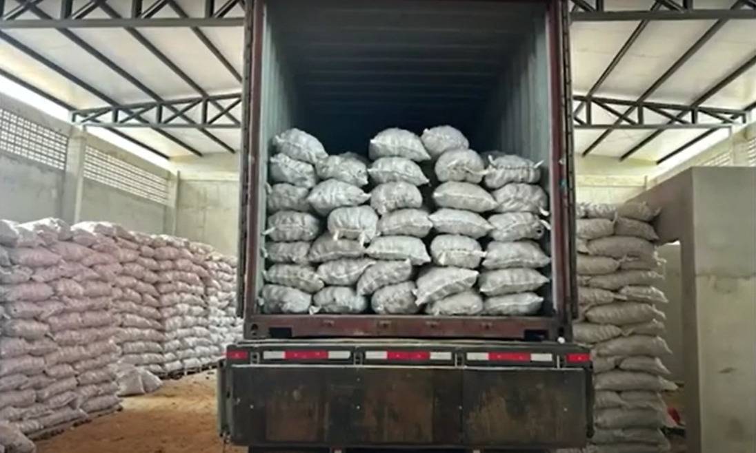 Agricultores familiares do Baixo Sul comemoram exportação de coco de piaçava para o Egito