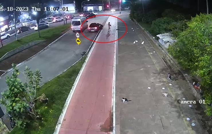 Câmeras flagram mulheres abandonando gato em Piatã; veja vídeo