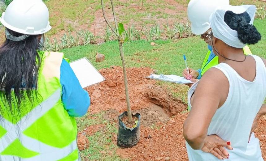 Novo Mané Dendê realiza plantio de mais de 200 mudas de árvores no Subúrbio Ferroviário