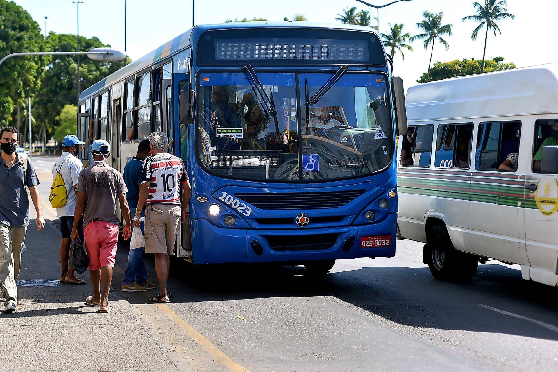 Linha especial de ônibus é disponibilizada para jogo do Vitória neste domingo; confira