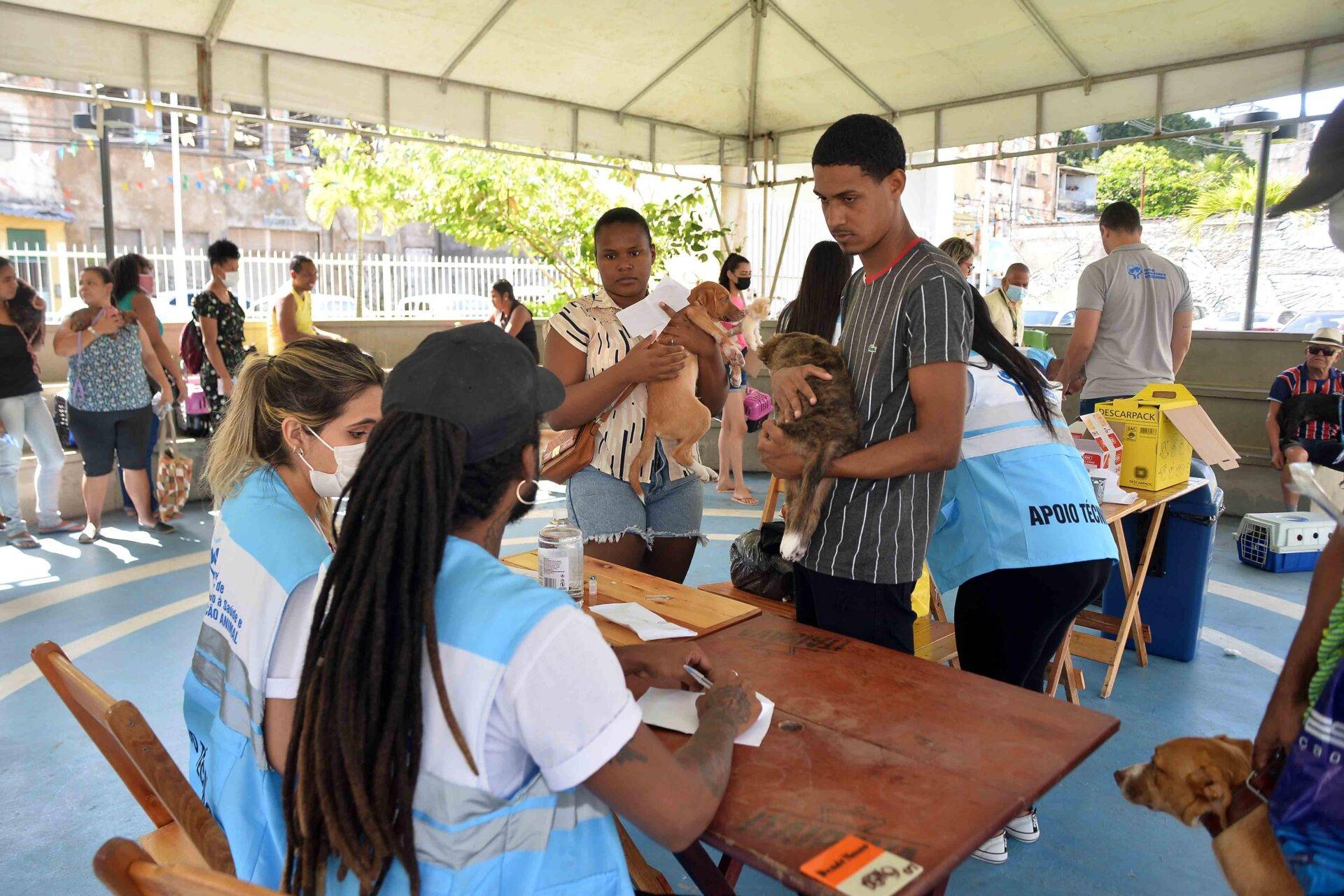 Campanha de vacinação antirrábica começa nesta segunda com meta de imunizar 249 mil animais