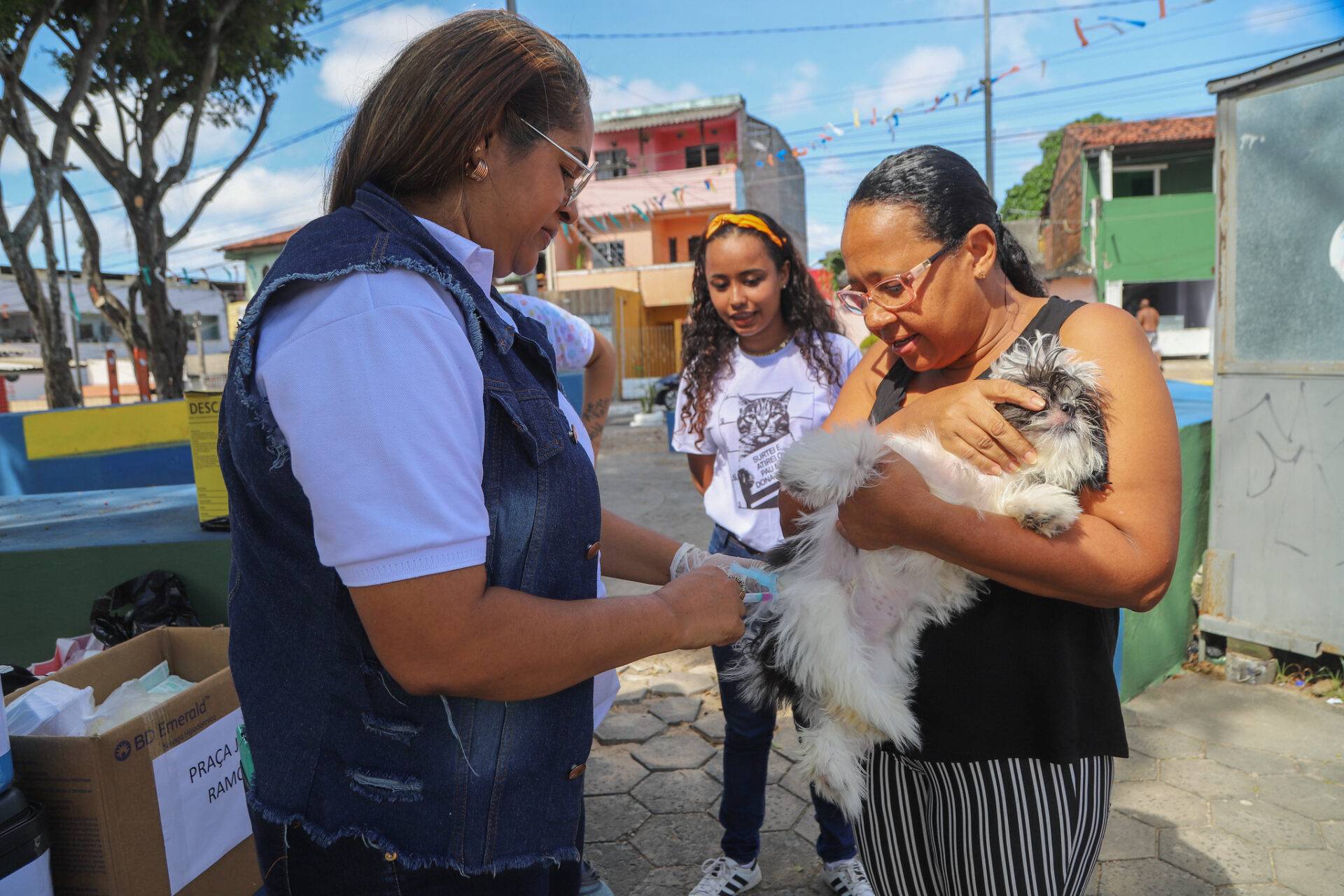 Dia D: Vacinação Antirrábica acontece em Lauro de Freitas neste sábado (2)