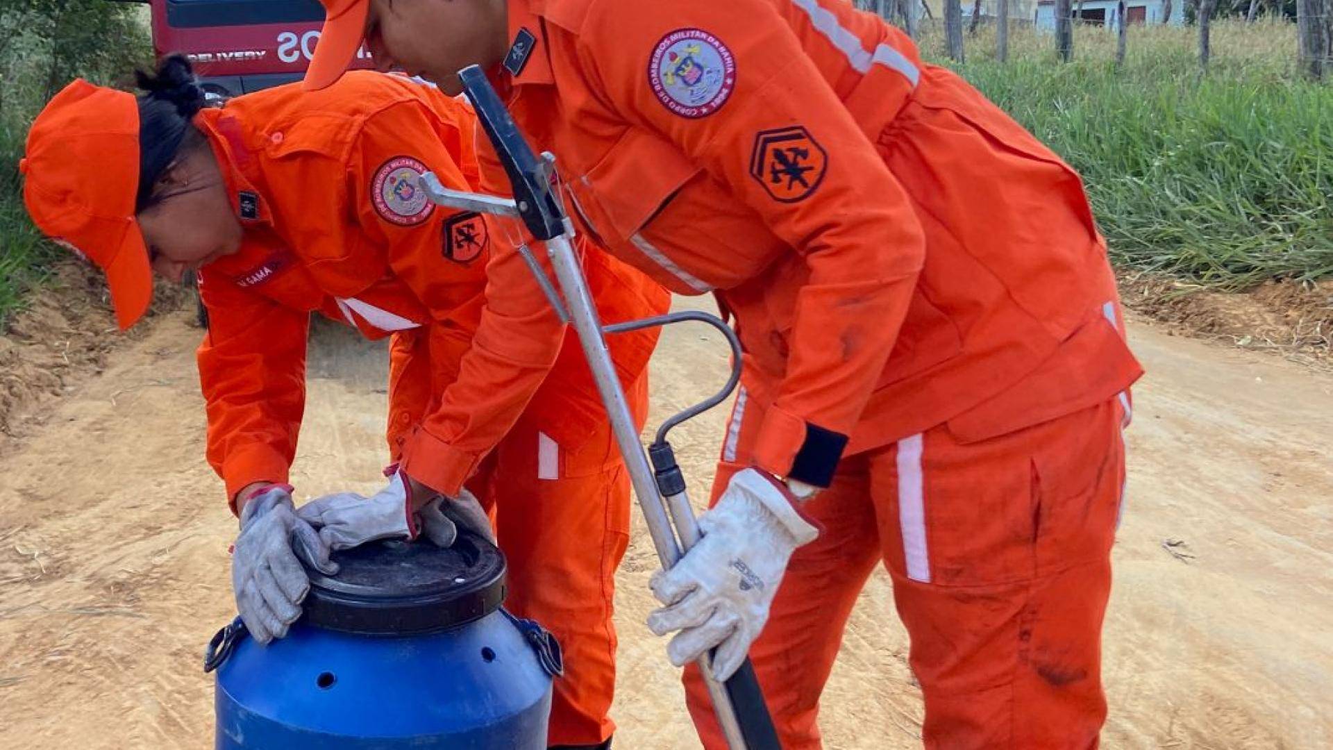 Cobra de 2 metros é resgatada por bombeiros em Juazeiro; veja