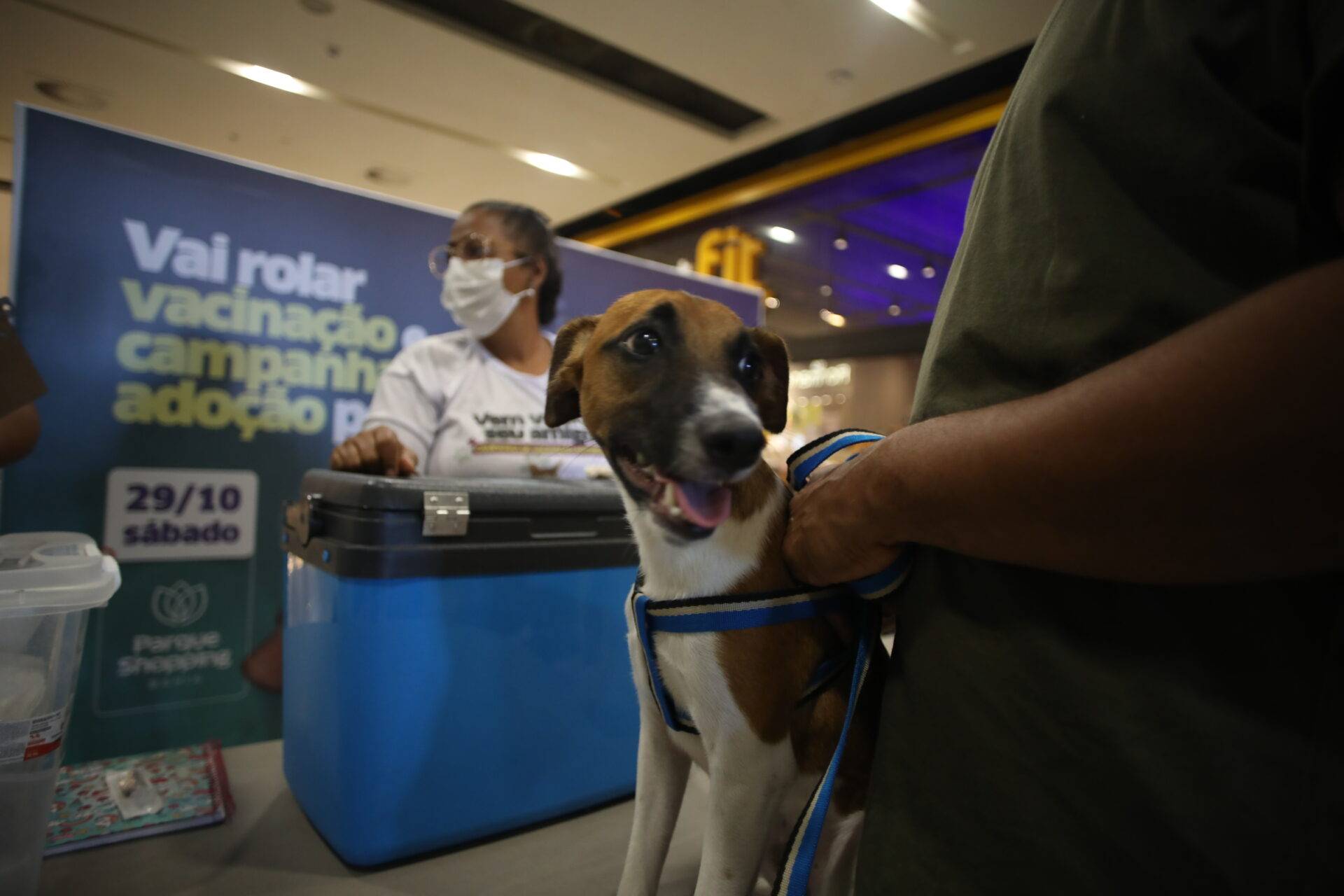 Shopping de Lauro de Freitas recebe campanha de vacinação antirrábica neste sábado (2)