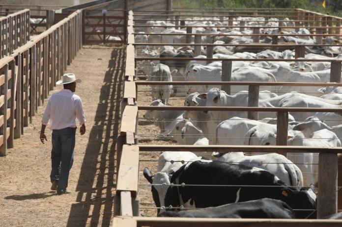 Segundo trimestre do agro baiano tem queda no PIB de R$ 2 bilhões