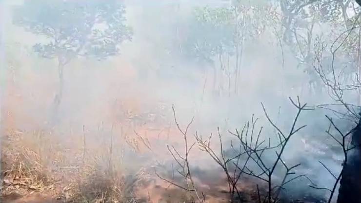 Incêndio na Serra do Mimo, na região Oeste da Bahia, tem se espalhado pela vegetação