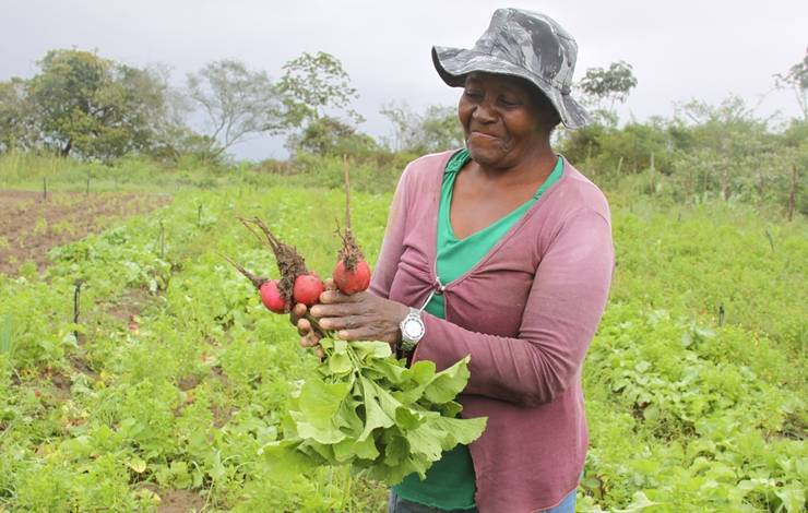 Edital com investimento de R$ 20 milhões para agricultura familiar tem inscrições abertas