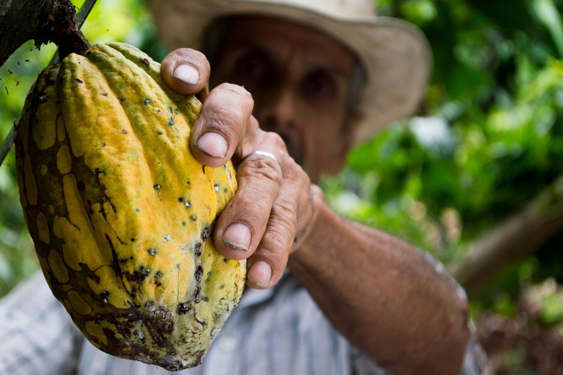 Empresa é condenada a pagar R$ 600 mil por permitir trabalho infantil e em condições de escravidão na Bahia