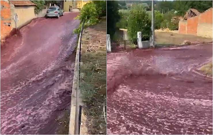 'Rio' de vinho inunda cidade portuguesa após acidente em destilaria