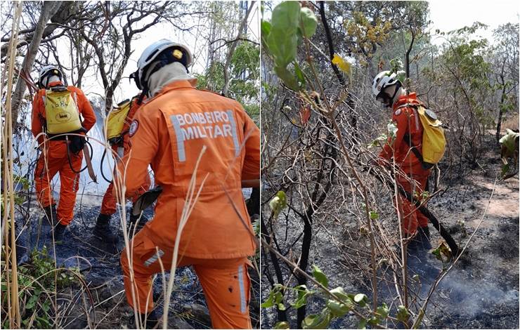 Regiões Oeste, Norte e Chapada sofrem com incêndios florestais; bombeiros seguem no combate às chamas