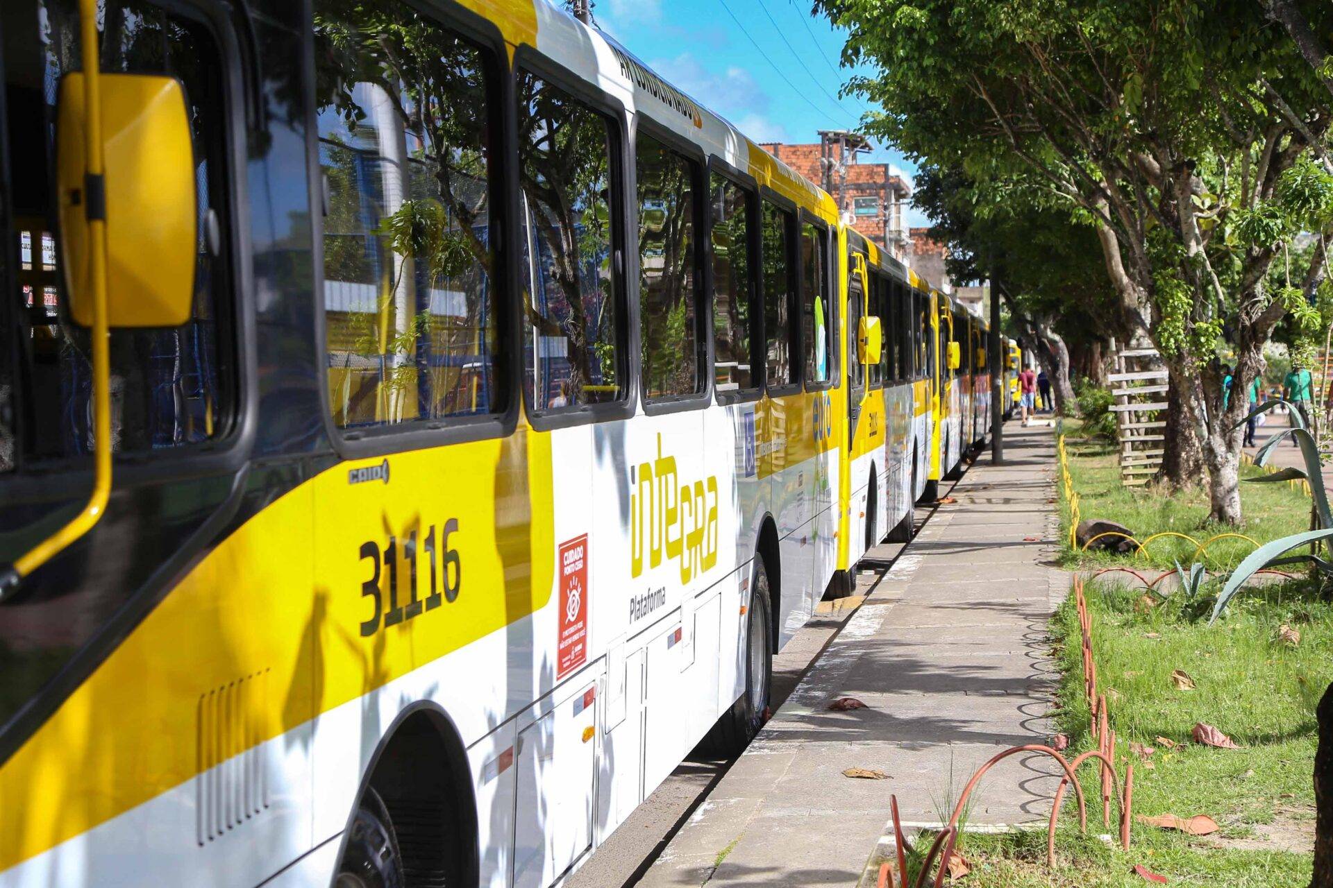 Linhas de ônibus passarão por ajustes a partir deste sábado (14); veja o que muda