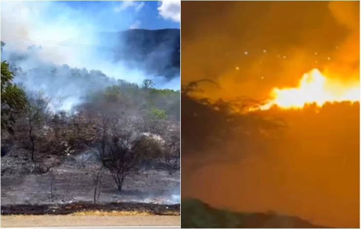 Incêndio atinge área de vegetação em diferentes cidades da Bahia