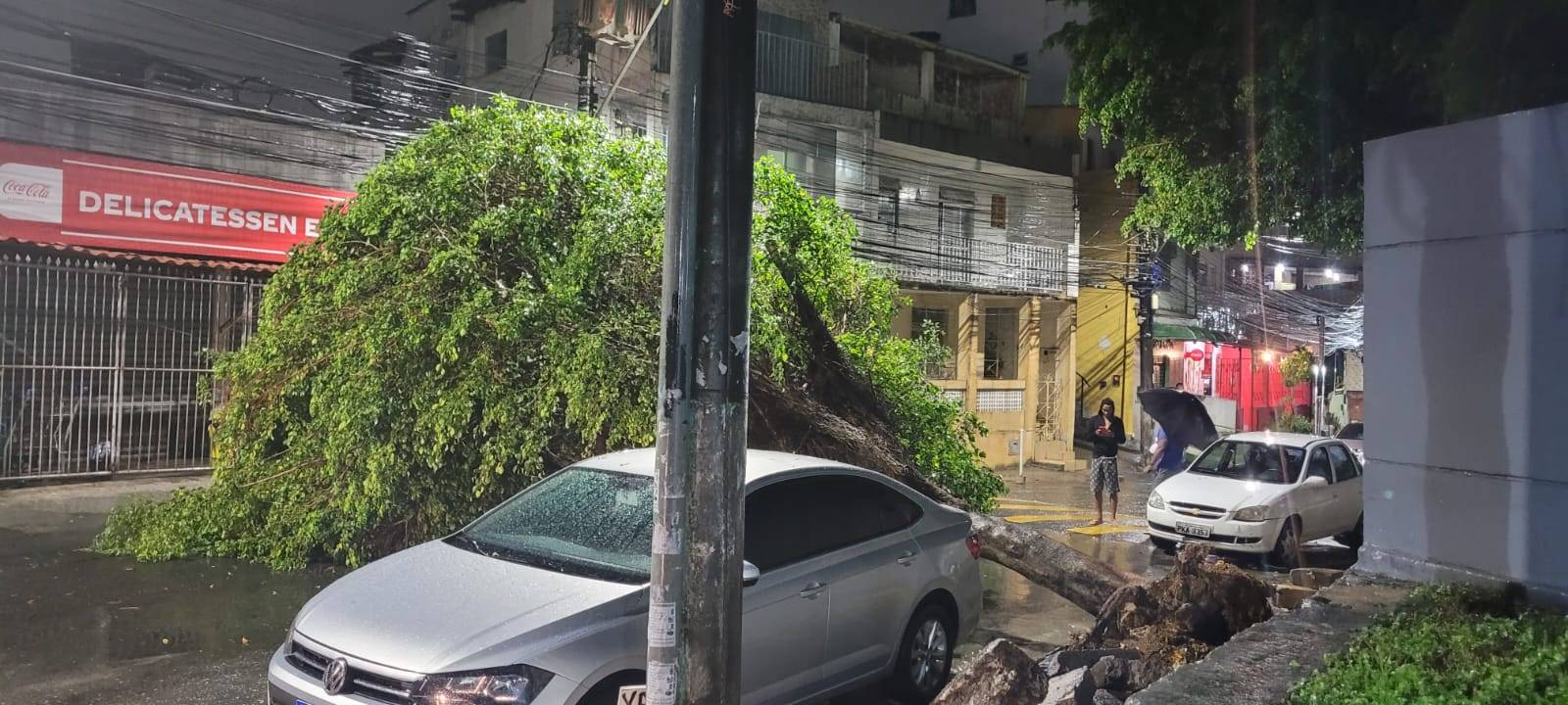 Árvore cai no bairro da Federação e interdita trânsito no local