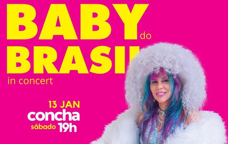 Show de Baby do Brasil que aconteceria no dia 13 de janeiro no TCA é adiado para fim do mês