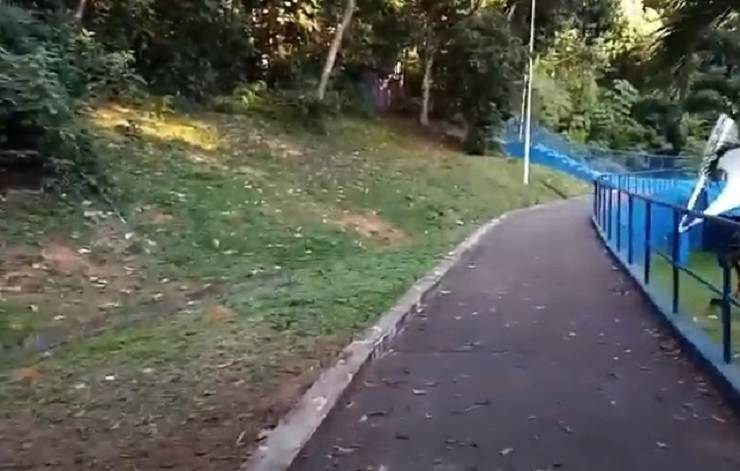 Corpo de idoso é encontrado em matagal do Parque da Cidade, em Salvador