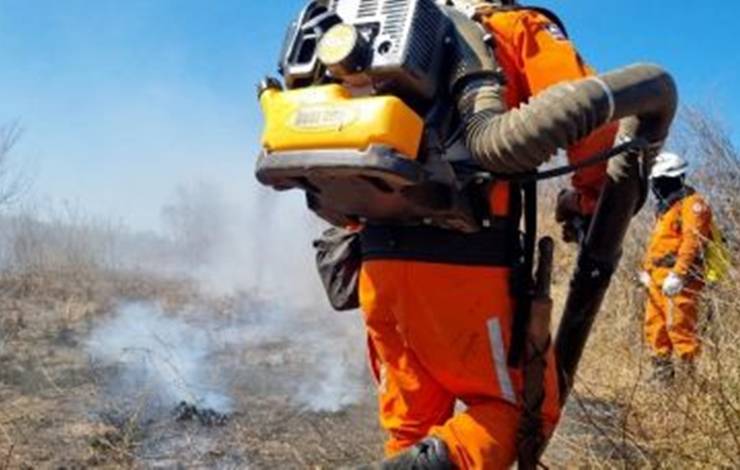 Incêndio atinge área de vegetação na Chapada Diamantina