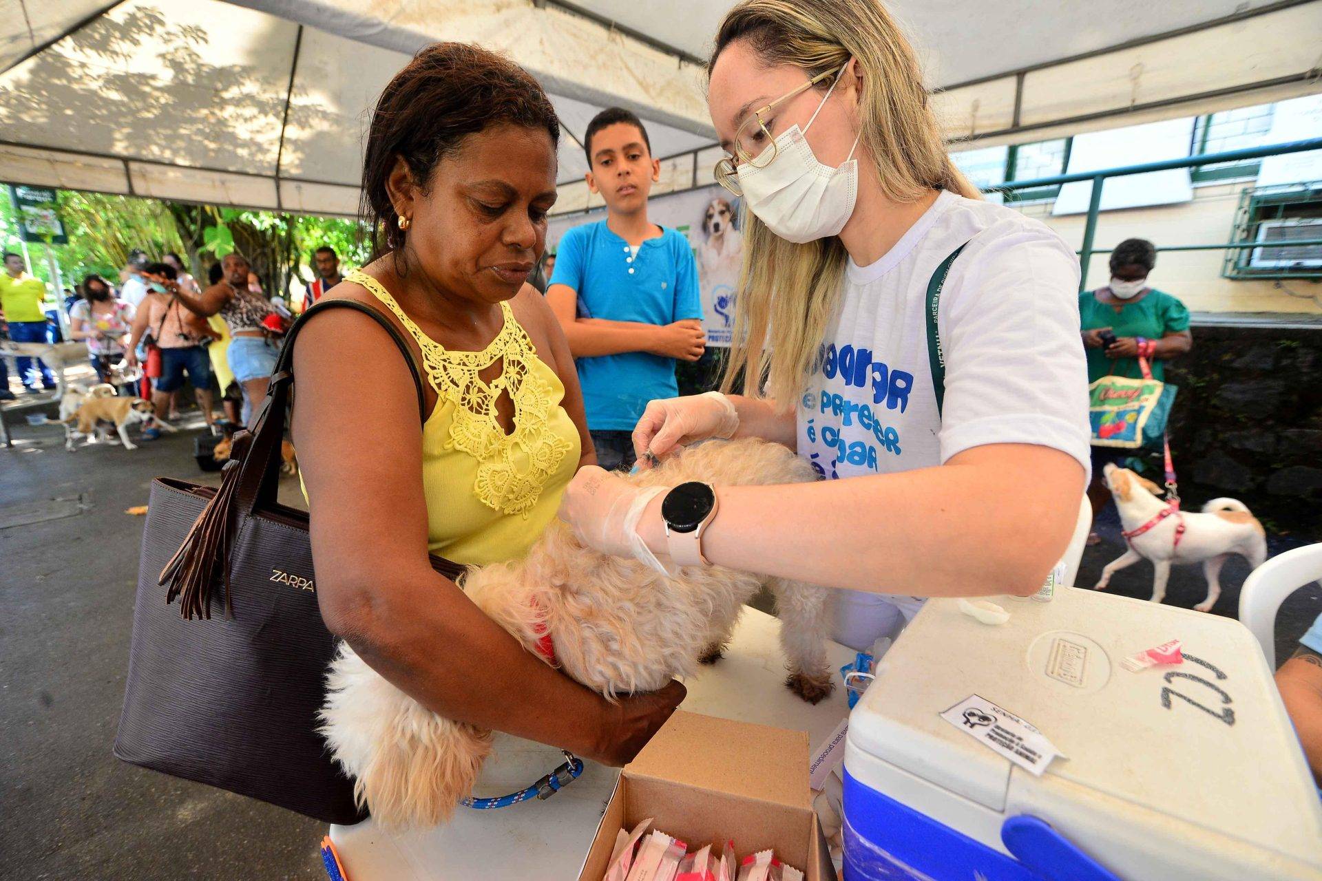 Prefeitura disponibilizará vacina V10 para cães a partir de quarta-feira (21)